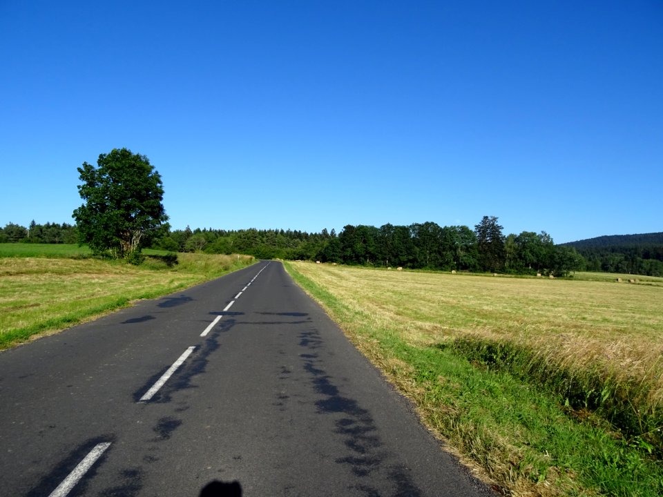 DSC01519 
