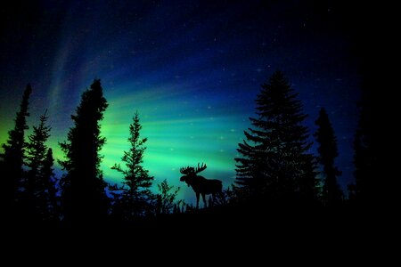 Nature landscape night sky photo