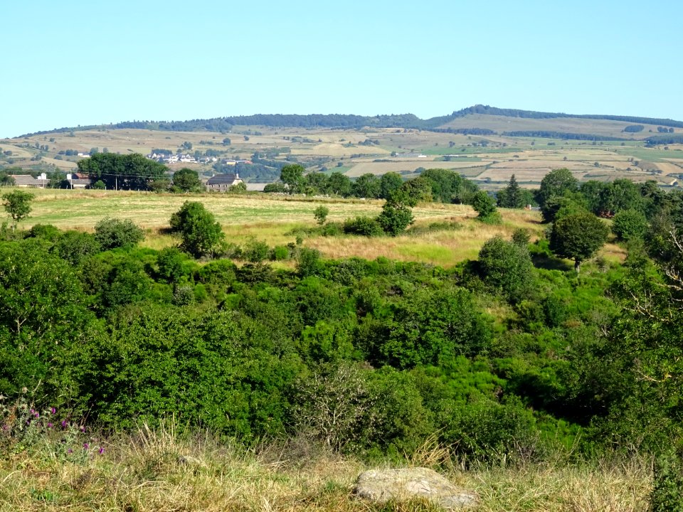 Vue vers le Nord du Cantal 