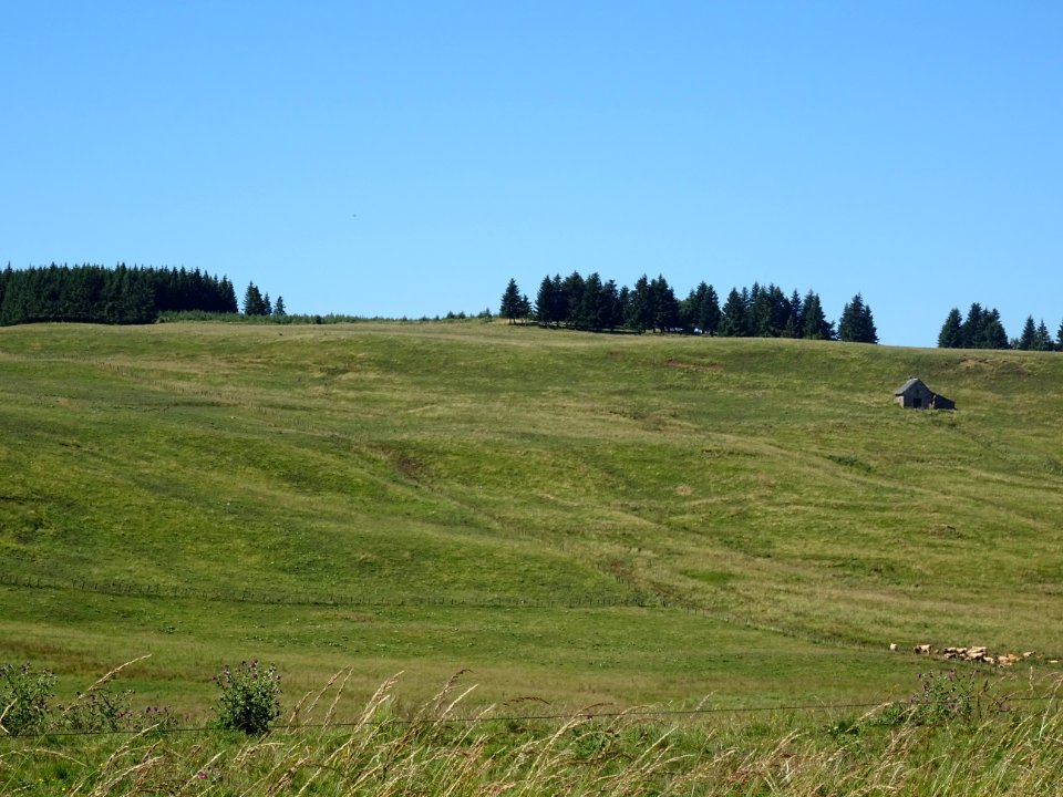 Grandes étendues herbeuses avant le Col de Montirargues, C… 