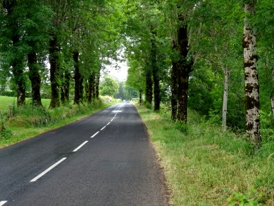 Ligne droite avant Salers, Cantal 