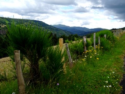 Vue vers Puy Chavaroche et Puy Mary, depuis Chastade, Cant… 