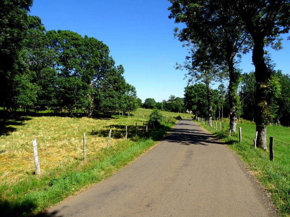 DSC00926 