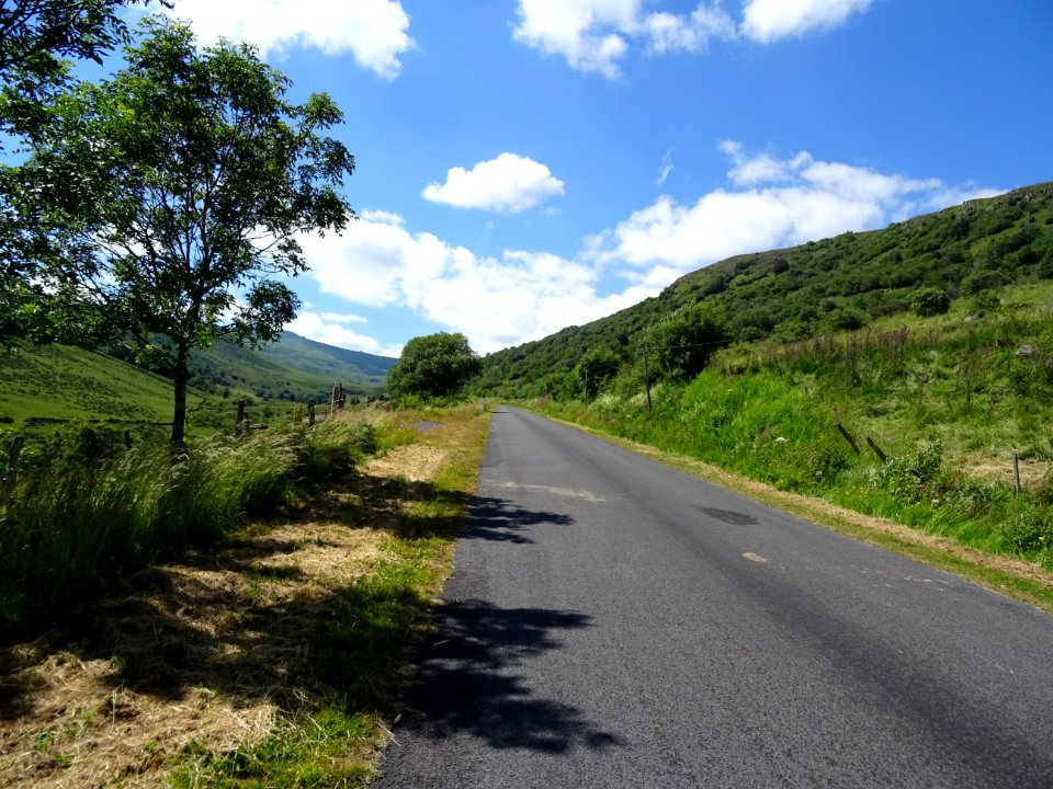 DSC00831 