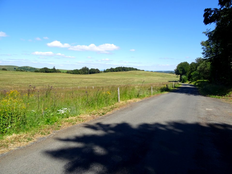 DSC00868 