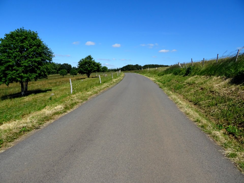 DSC00876 