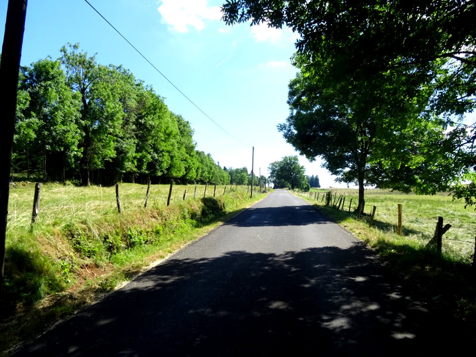 DSC00911 