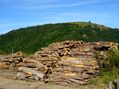 Tas de grumes sur le bord de la route 