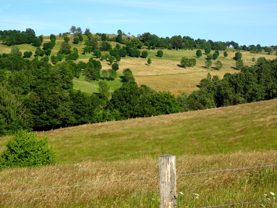 DSC01003 