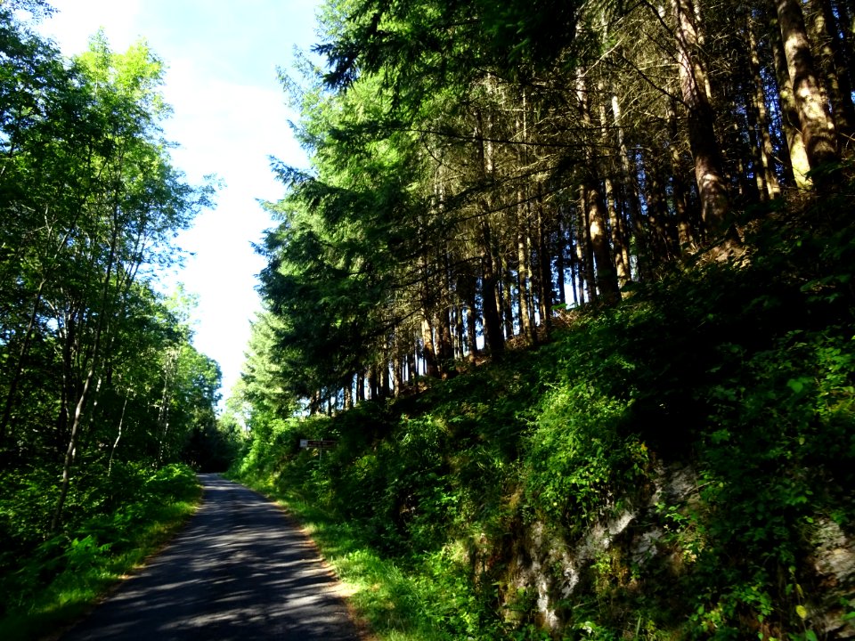 Route Circuit des Monts du Cantal 