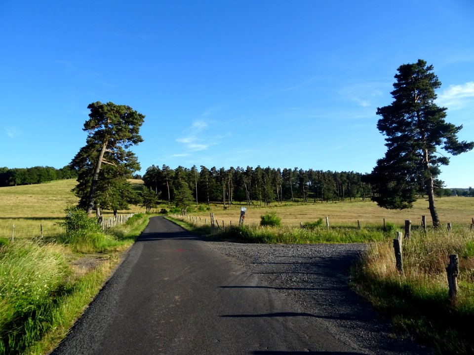 DSC01073 