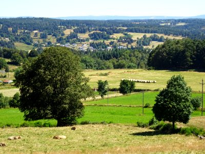 Paysage entre Chauchailles et Fournels, Lozère 