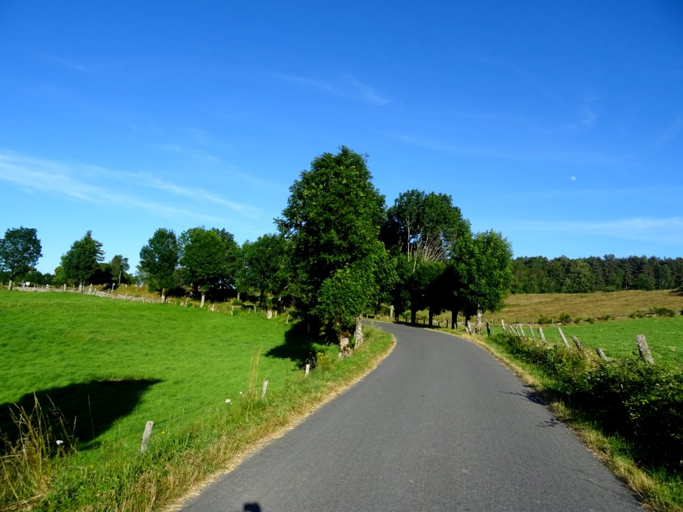 DSC01030 