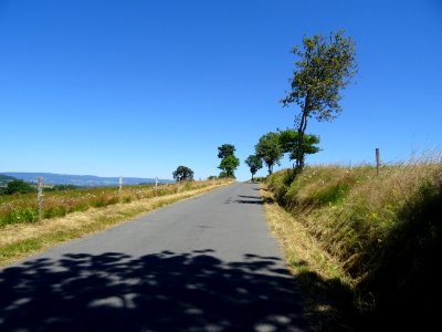 DSC01366 