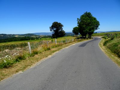 DSC01367 