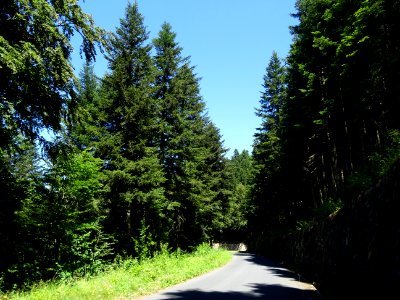 DSC01348 