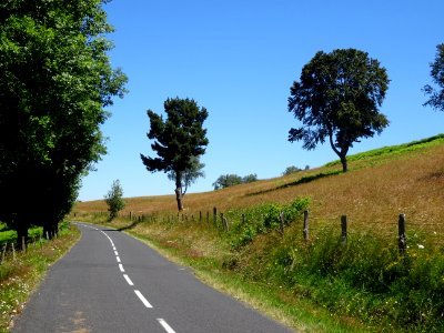 Sur la D13, après Saint-Martial, Cantal 