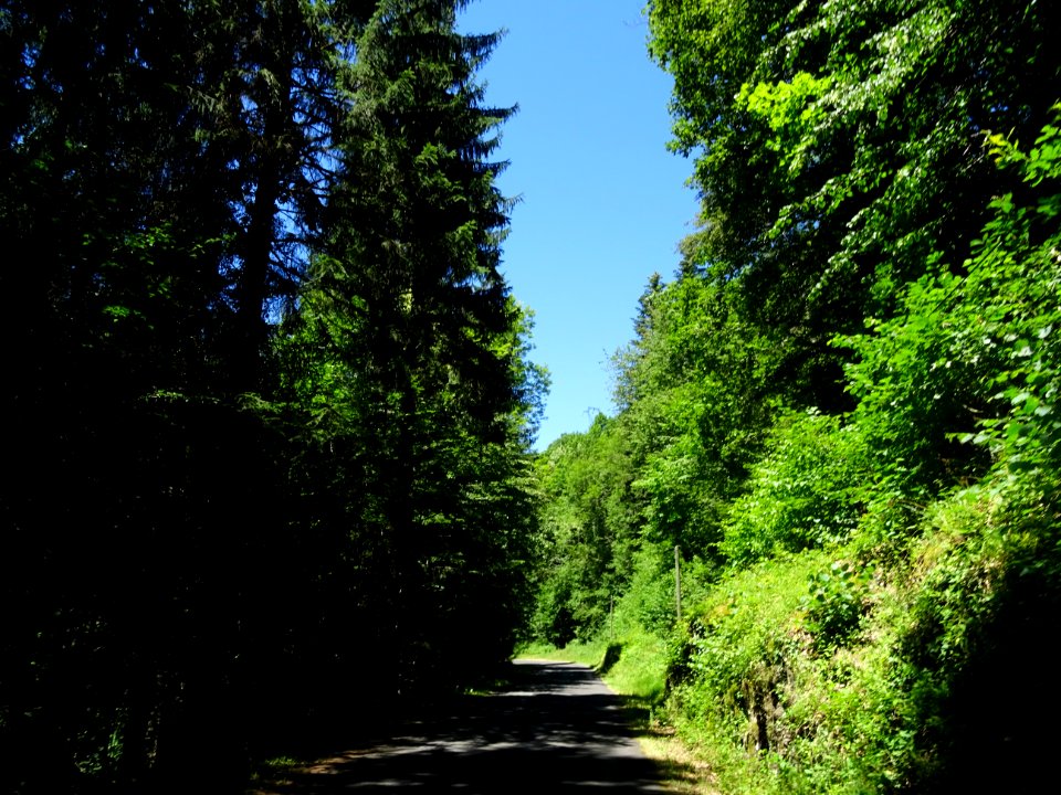 Encore un bout de route qui se faufile dans un océan de sa… 