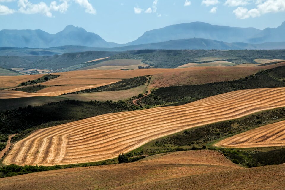 Ploughed mountains valley