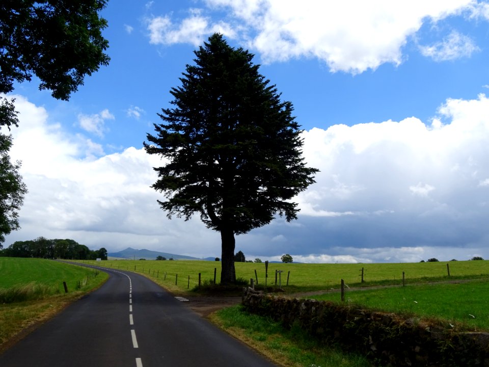 La petite route D22 avant le hameau de Tougouse, avec le r… 