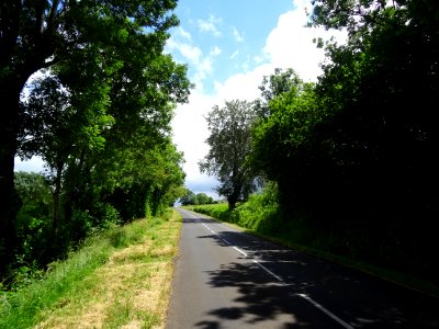 DSC00272 