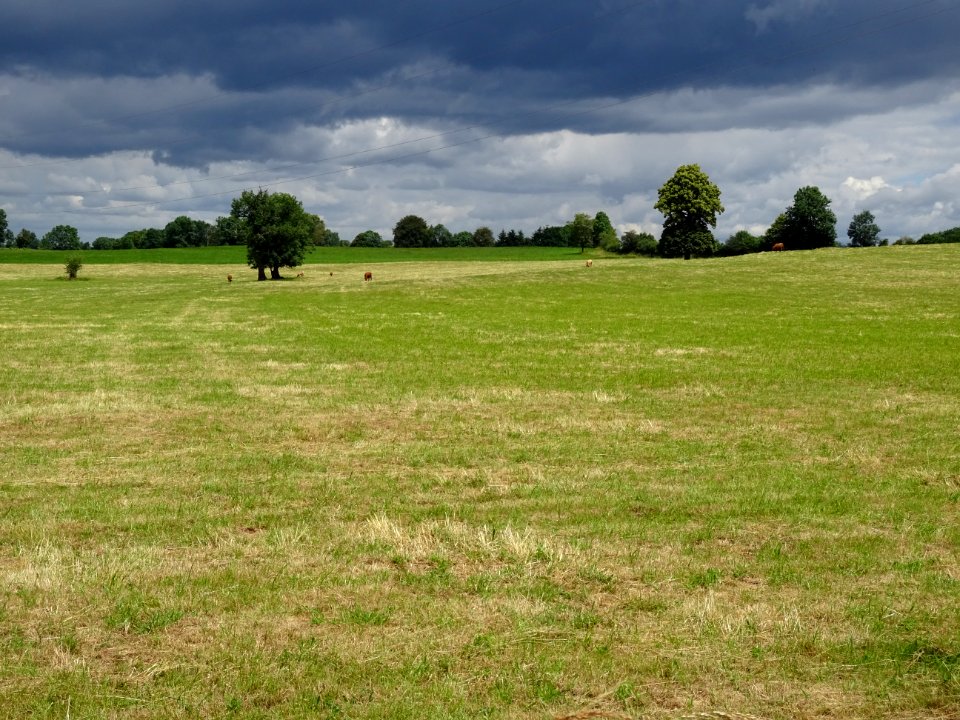 Lieu-dit La Montagne, Cantal 