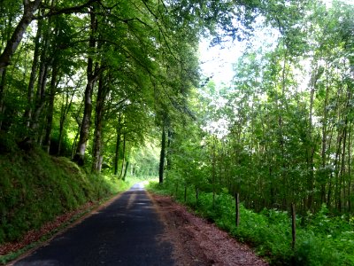 La petite D135 entre Fontanges et Chastrade, ca grimpe for… 