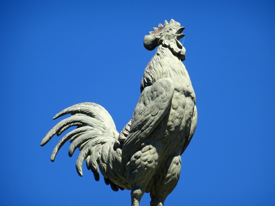 Coq au sommet d'une colonne, près de l'église Saint-Martin… 