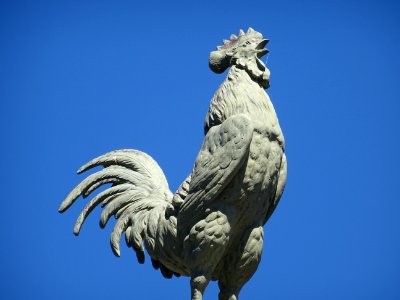 Coq au sommet d'une colonne, près de l'église Saint-Martin… 