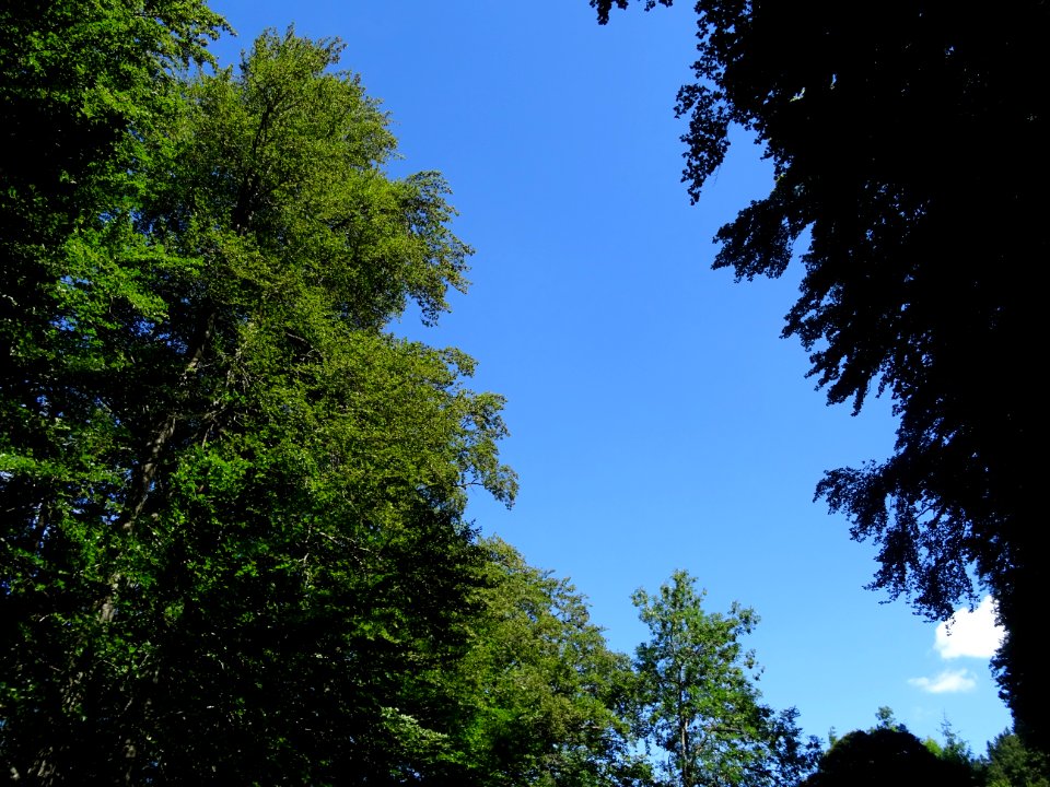 DSC00844 