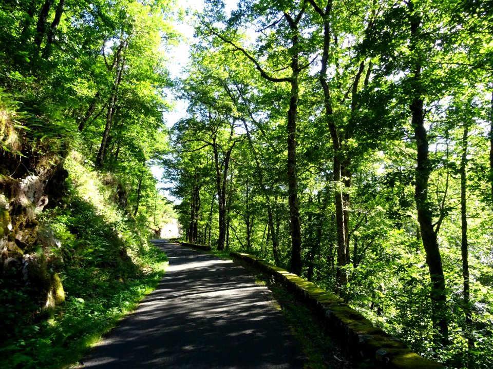 La route qui descend au Pont de Treboul, Cantal 