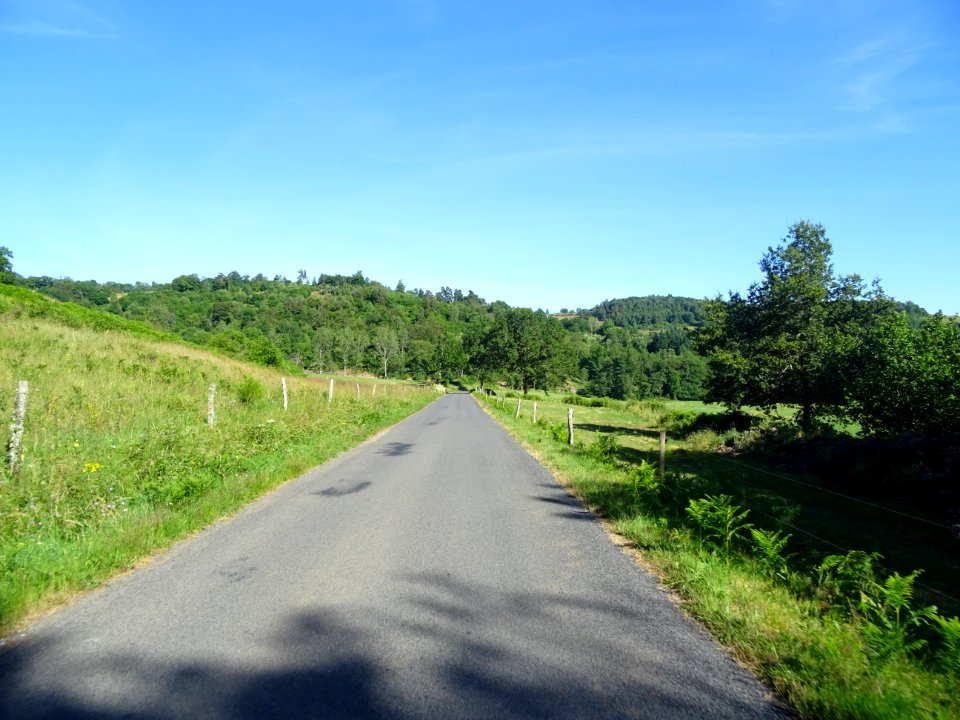DSC00948 
