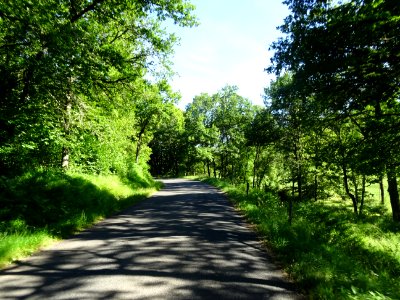 A la sortie de Pierrefort, la route descend et file vers l… 