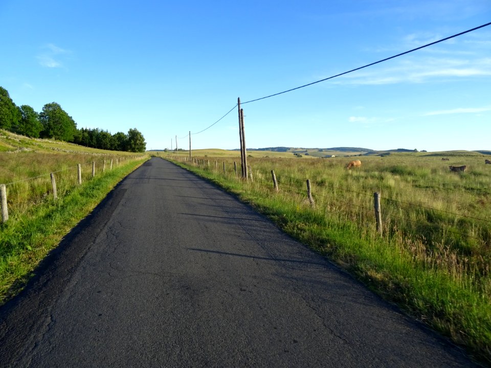 Dernière ligne droite avant d'arriver à St Urcize, Cantal 