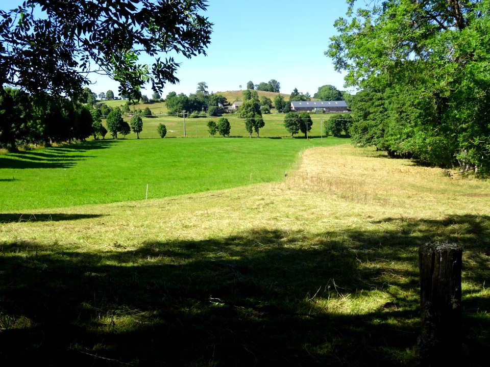 Avant Pierrefort, Cantal 