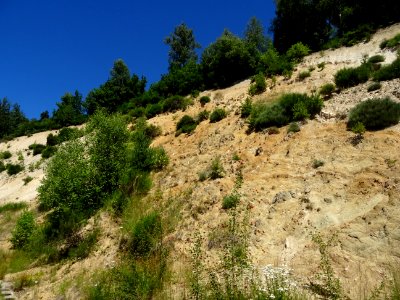 Côteau en sable ocre, comme on trouve en Provence, Cantal 