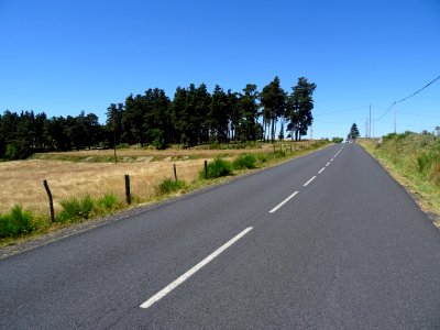 DSC01236 