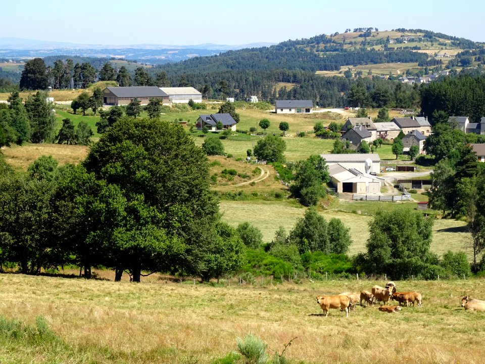 Paysage entre Chauchailles et Fournels, Lozère 