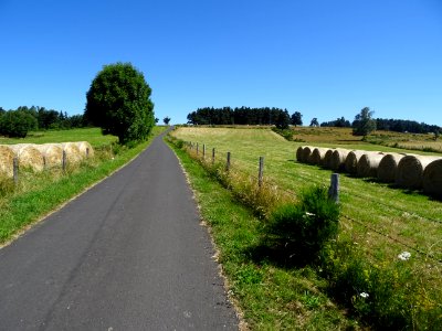 Longue faux-plat montant vers Reyrac et le Cheylaret, Lozè… photo