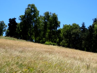 DSC01314 
