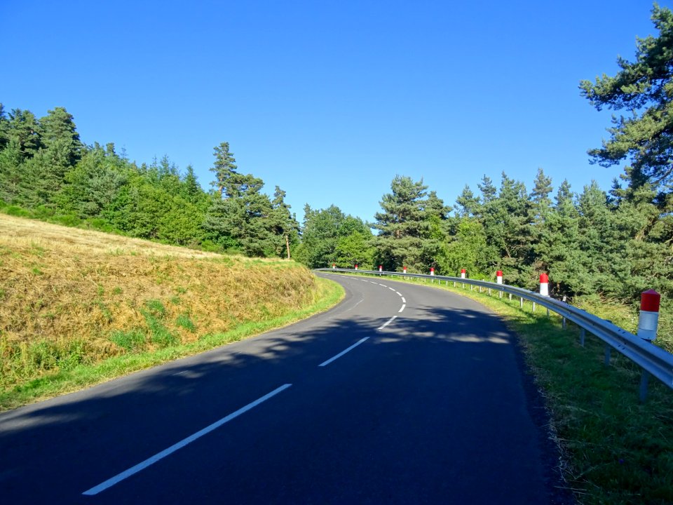 Montée dans la forêt de la Margeride, entre La Pelle et La… 