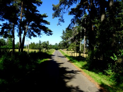 Sur une petite route bucolique avant l'arrivée à Saint-Flo… 