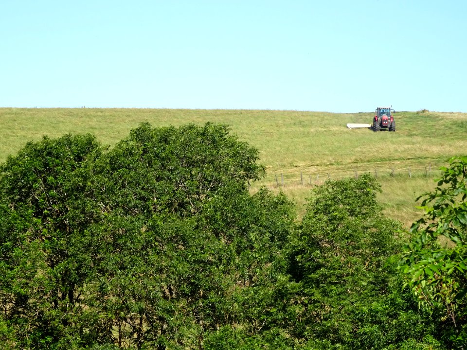 Un tracteur et sa faucheuse mécanique 