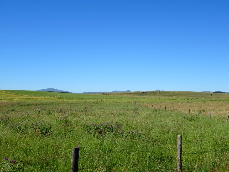 Grandes étendues herbeuses avant le Col de Montirargues, C… 