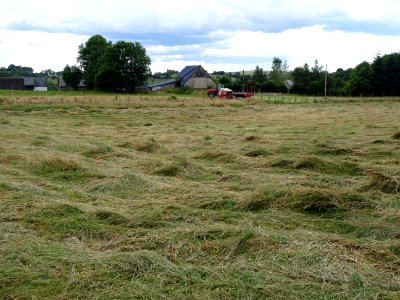 Travaux des champs, Chastrade, Cantal 