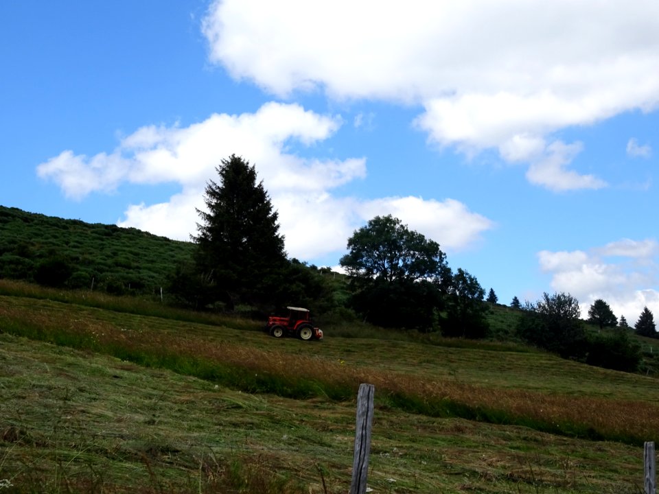 Un tracteur et sa faucheuse en action 