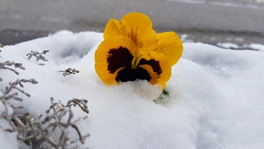 Snow altaussee spring