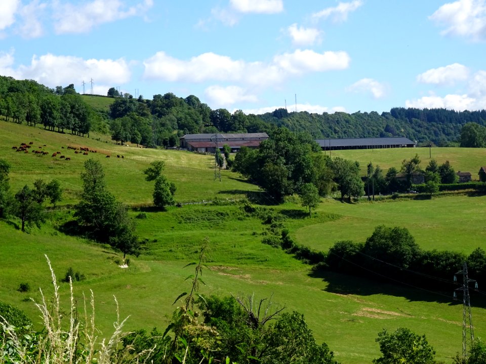 Vue depuis la route nationale entre Aurillac et Polminhac,… 