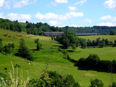 Vue depuis la route nationale entre Aurillac et Polminhac,… 