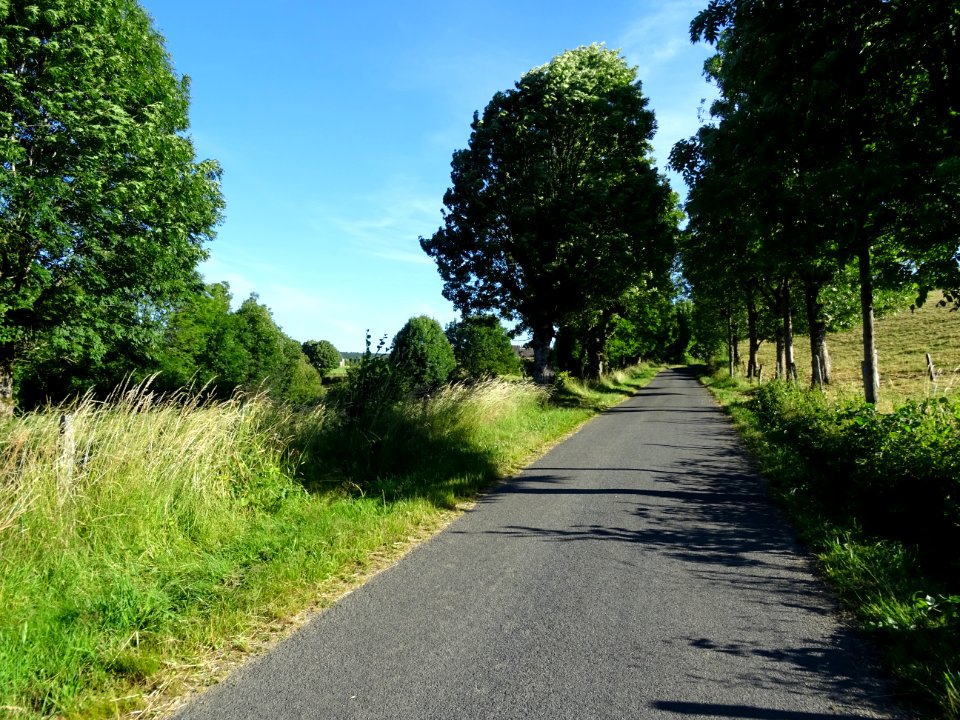 DSC01006 